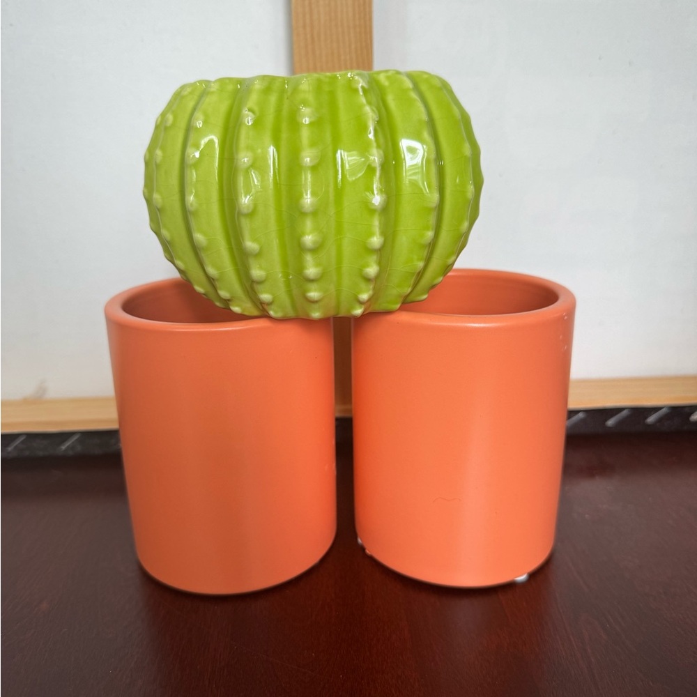 Green and Orange Cactus Planter Set